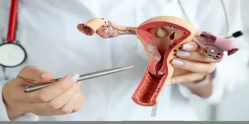 Ginecología